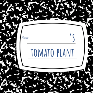 This composition book-style workbook features a customizable cover with space to write your child's name, making it uniquely theirs. Encourage hands-on learning and scientific exploration as your child tracks the growth of their very own tomato plant. A delightful keepsake for young gardeners!